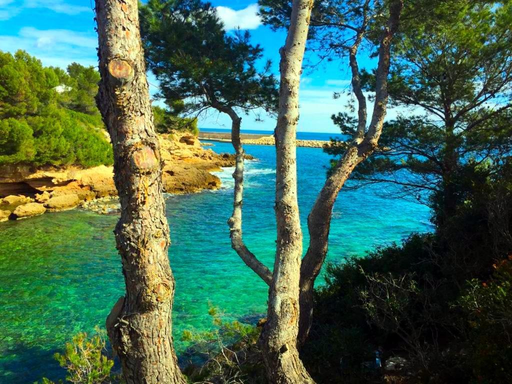 La Perla De La Ostra Villa Platja de l'Almadrava Ngoại thất bức ảnh